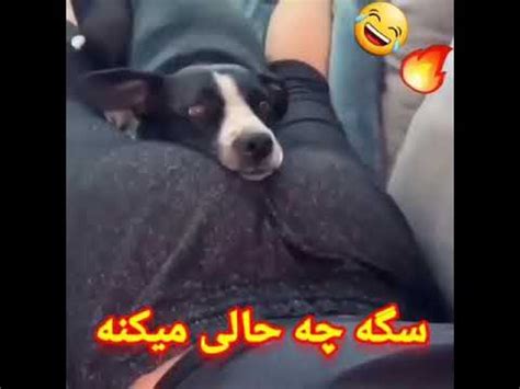 سکس زن با سگ